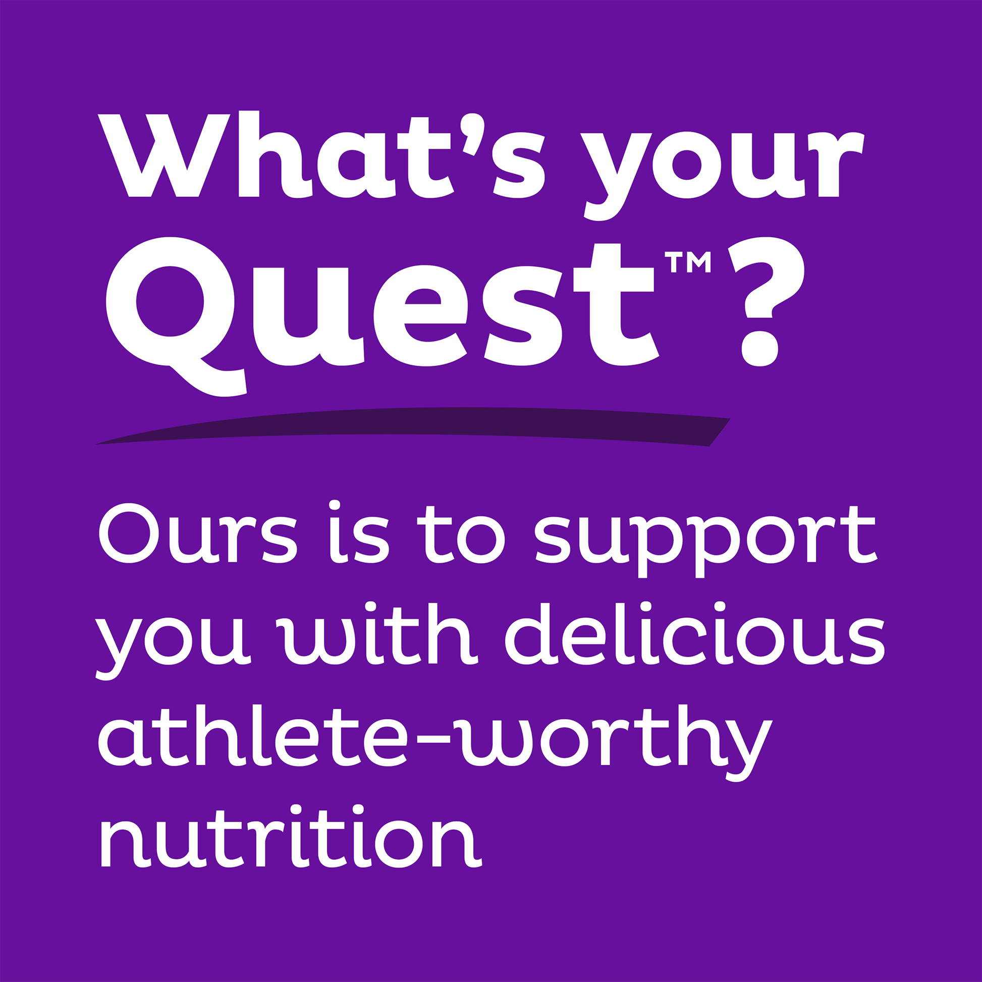 double-chocolate-chunk-protein-bars-w1 qst-000241_double-chocolate-chunk-protein-bars_9.png